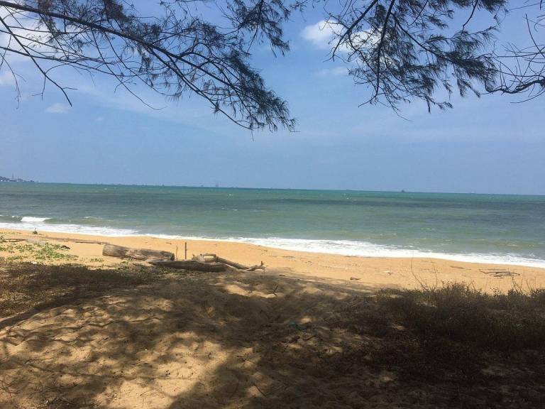 foto1
