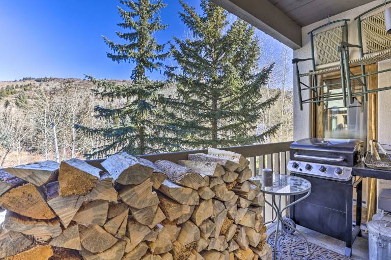 Ski-In/Ski-Out Beaver Creek Condo w/ Mtn Views! — photo 3