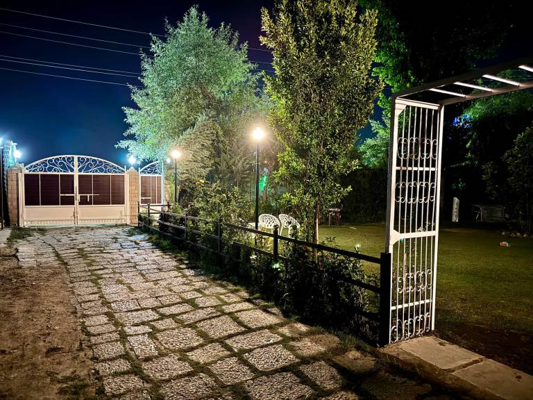 foto42