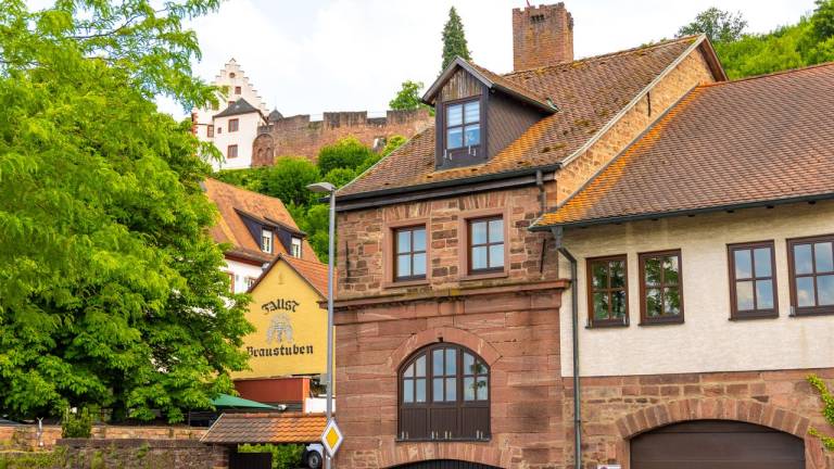 Ferienwohnung Miltenberg