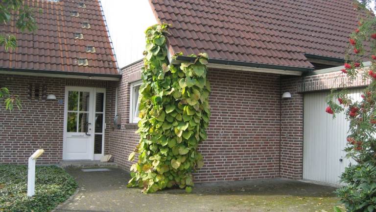 Ferienwohnung  Hörstel