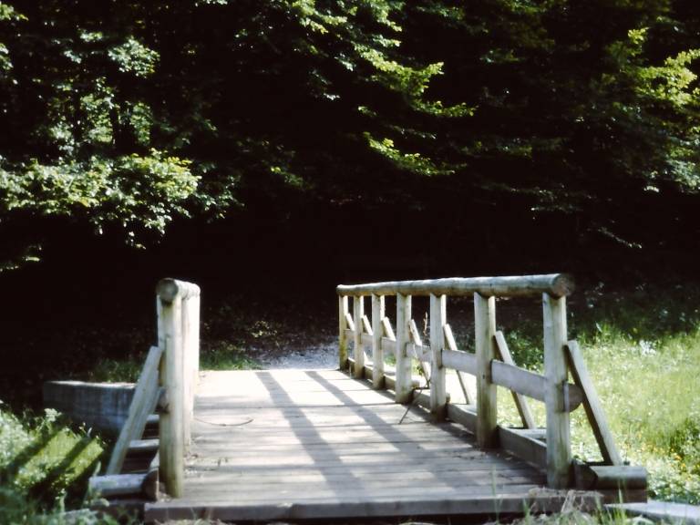 foto6