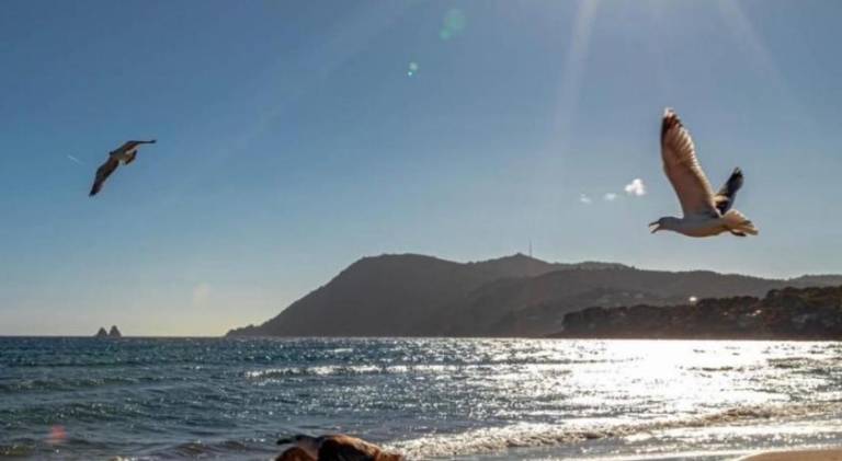 Nice apartment | Close to the beach | Dogs allowed in La Seyne-sur-Mer