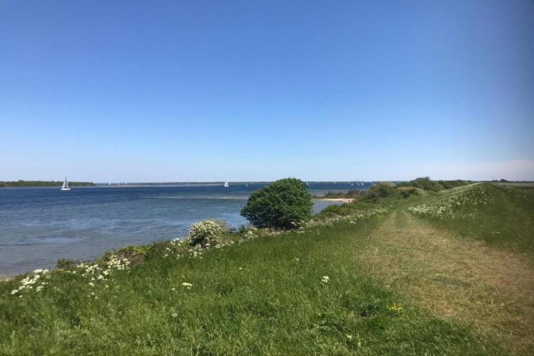 foto18