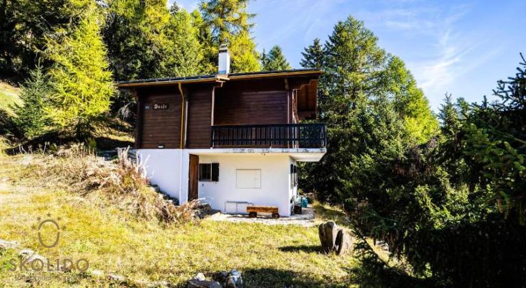 Chalet Dorle, Riederalp Golmenegg — photo 4