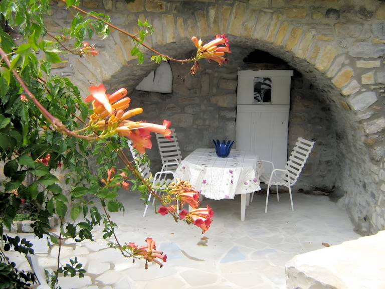 House with patio, garden & barbecue | Garden view — photo 5
