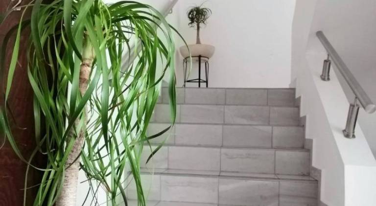 foto23