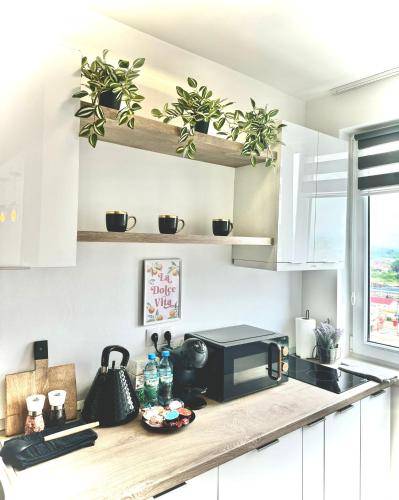 Apartman Cristur