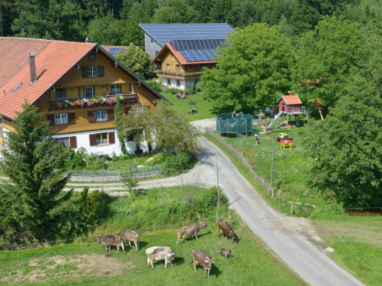 foto15