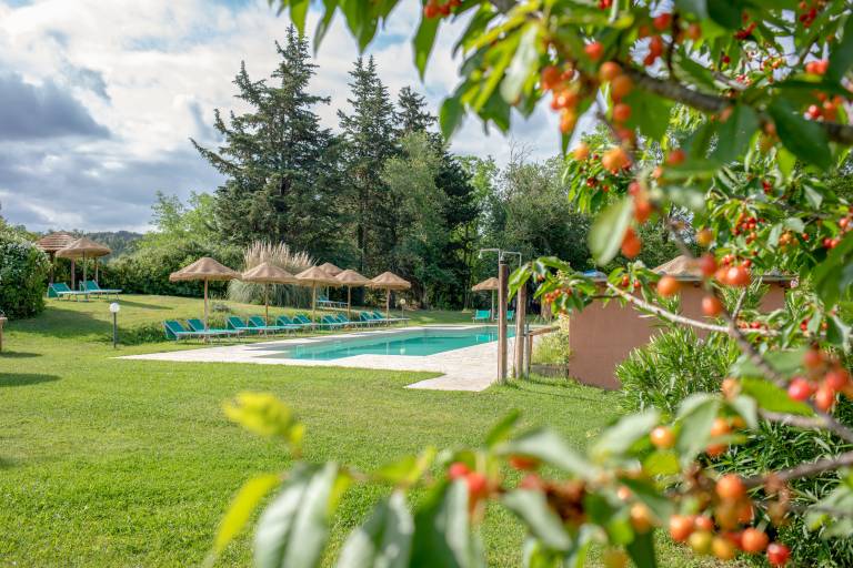 Holiday apartment with garden, pool & BBQ — photo 4
