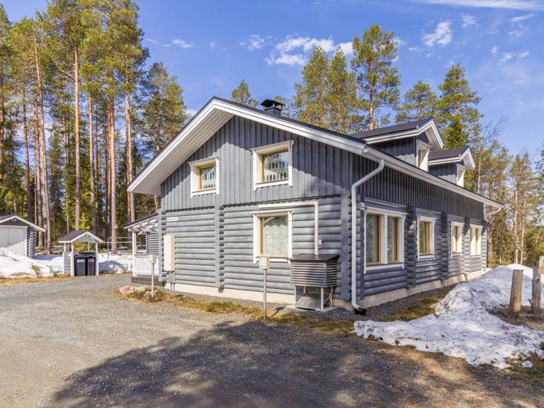 House with sauna — photo 4