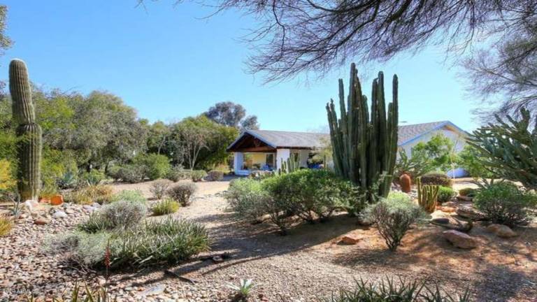 House Sun City West