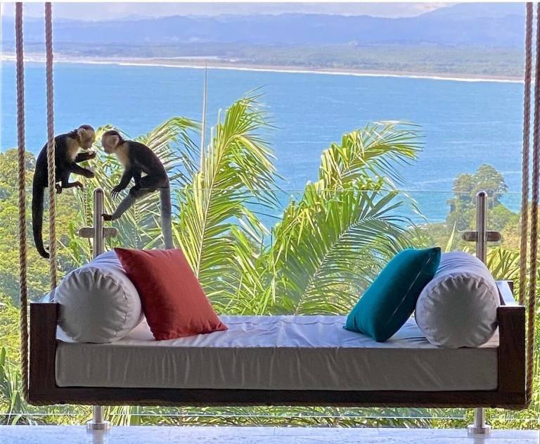 House Manuel Antonio