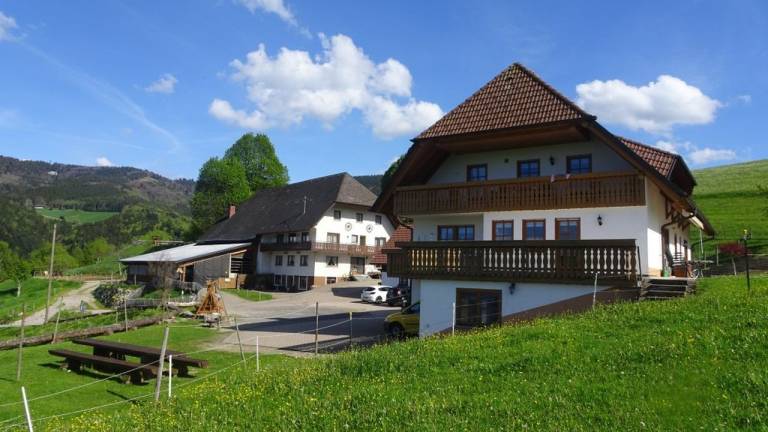foto1