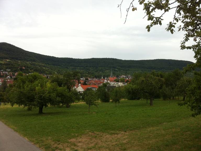 foto11