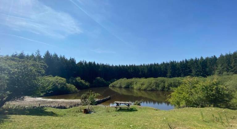 Lodge for 2 persons — photo 4