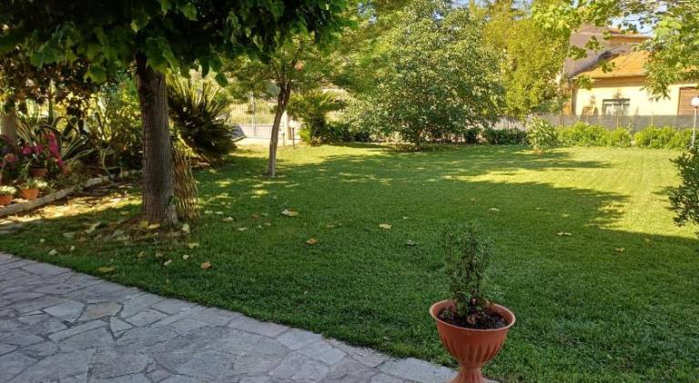 foto12