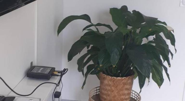 10 m² Ferienwohnung