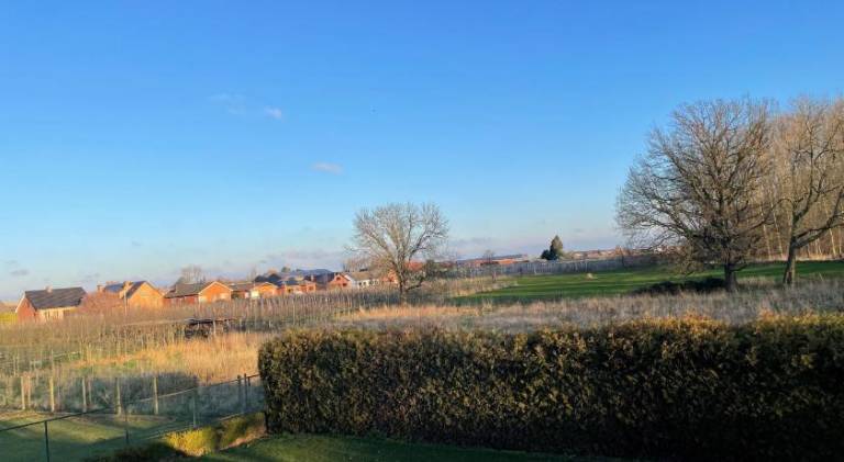 House | Pets are welcome in Hasselt
