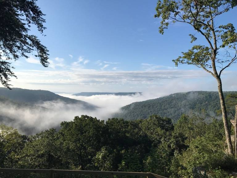 House  Sewanee