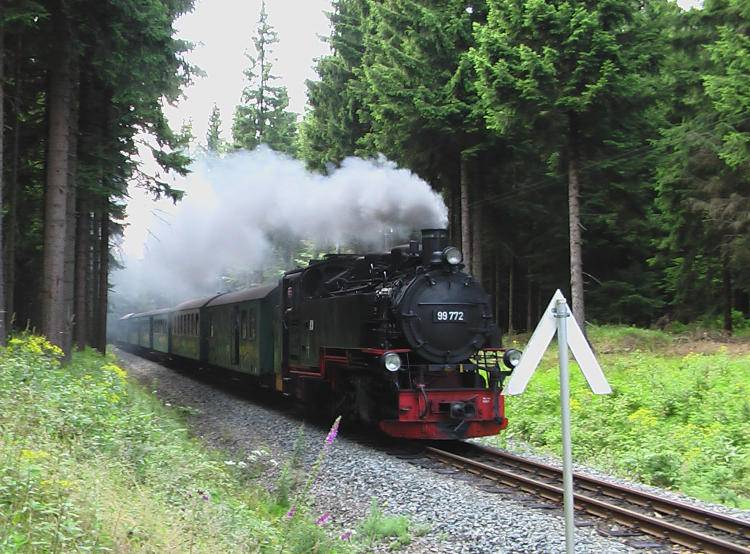 foto14
