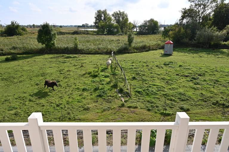 Holiday home with thatched roof, large property and private road to the port — photo 4