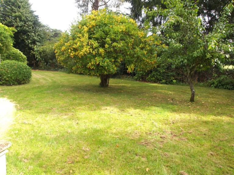 Cottage with yard — photo 3