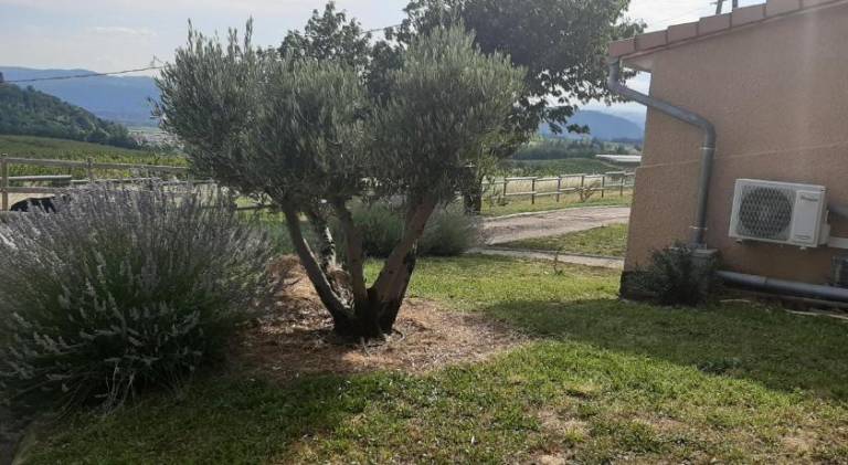 foto45