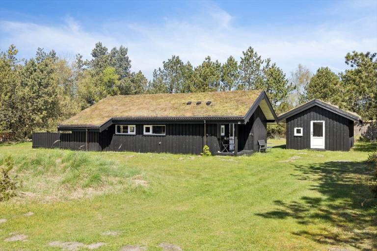 Ferienhaus mit Hund in Blokhus, Limfjord fuer max. 6 Personen