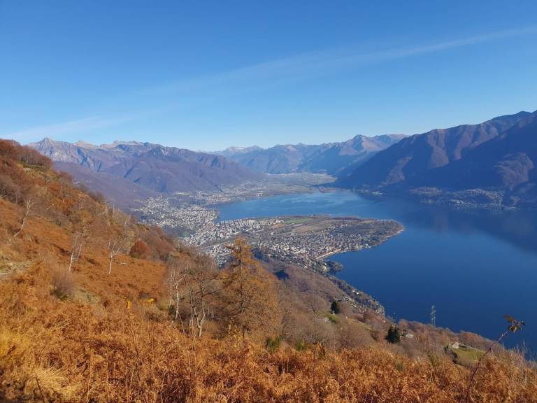 foto40