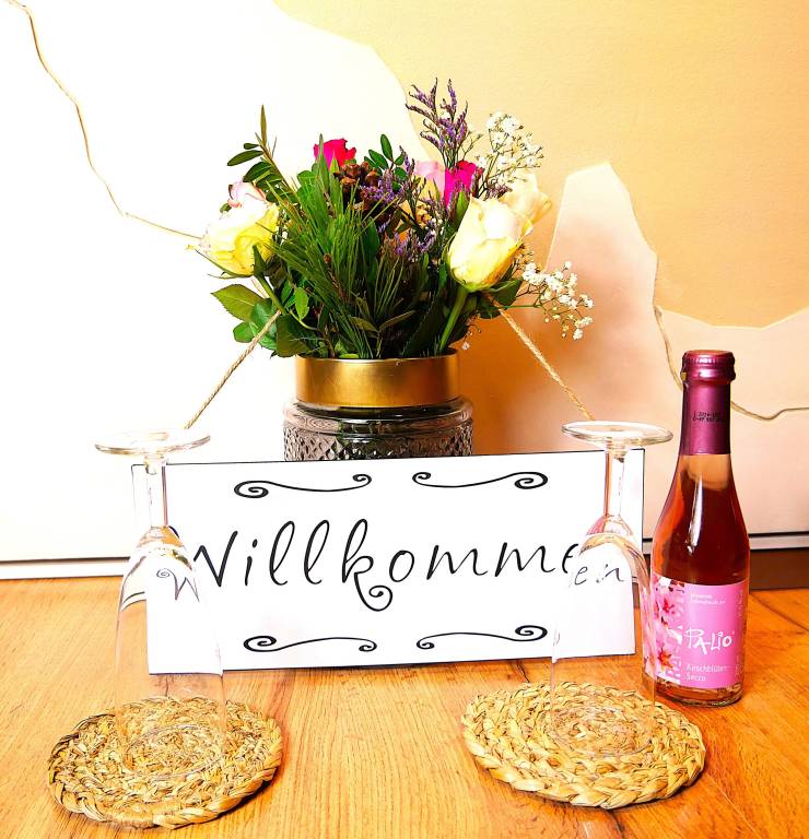 Ferienhaus  Saulheim