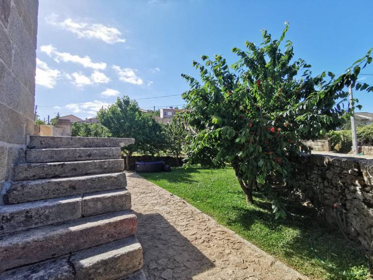 foto42