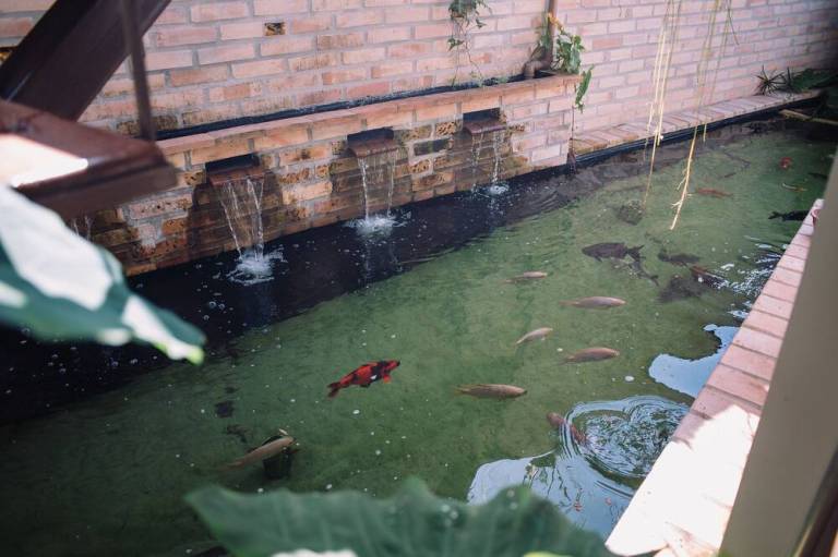 foto17
