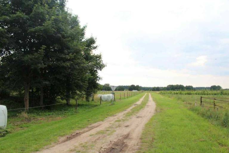 foto10