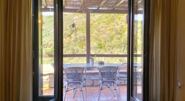 House with terrace — photo 5
