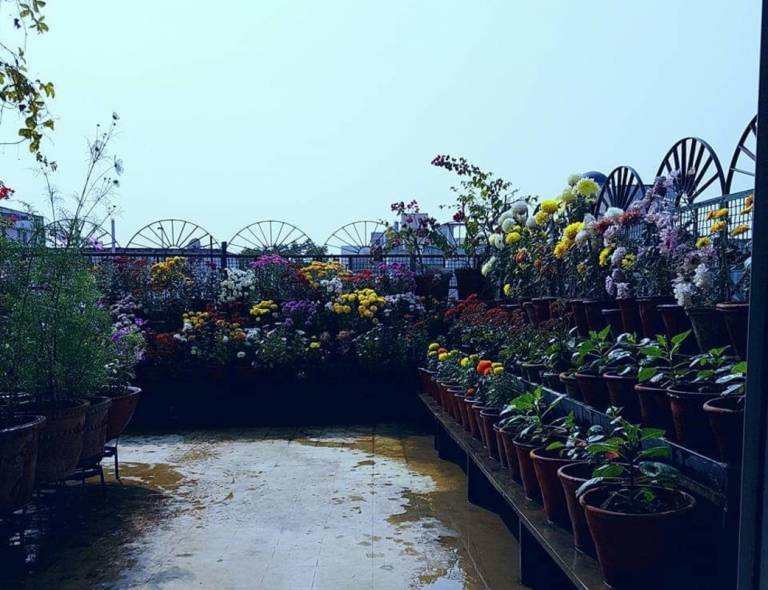 foto15