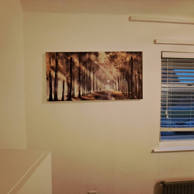 foto15