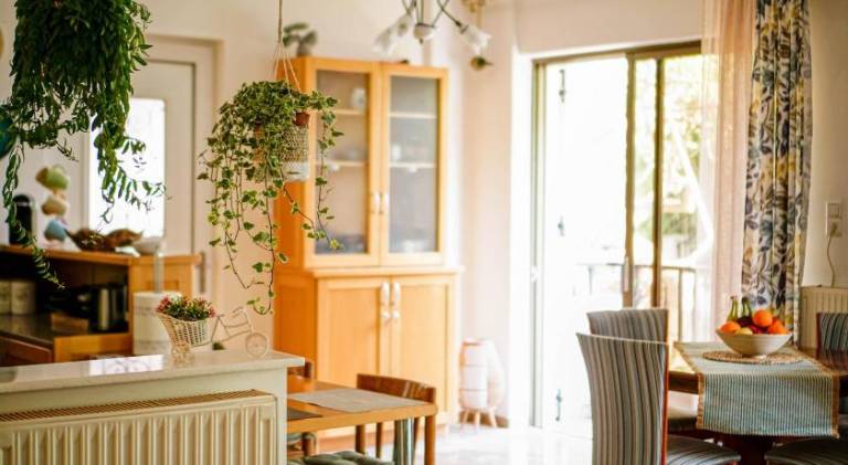 Fully equipped holiday apartment with terrace | Perfect for remote work | Pet-friendly — photo 3