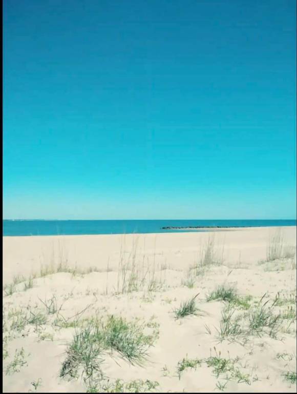 Apartment with fast internet | Sea view — photo 5