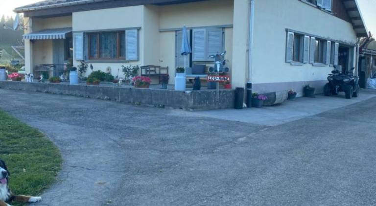 foto6