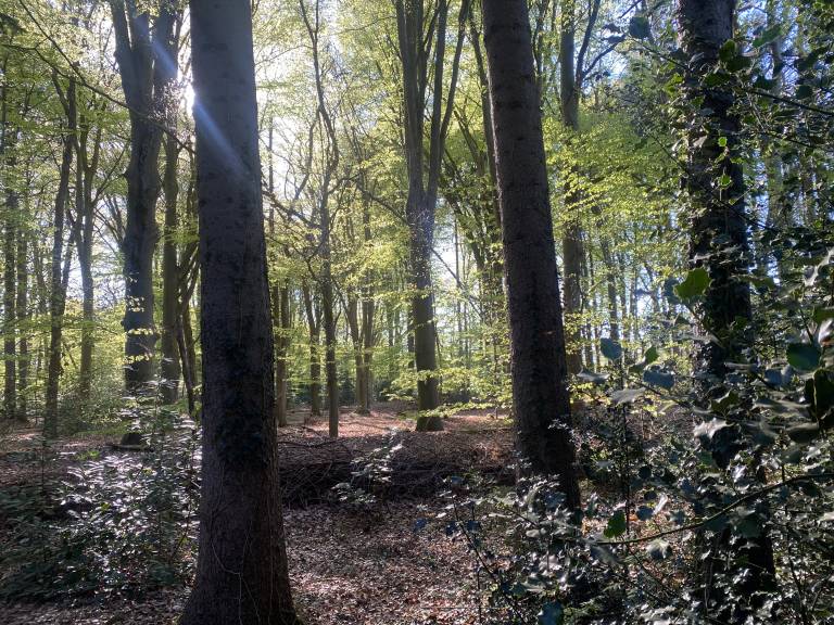 foto11
