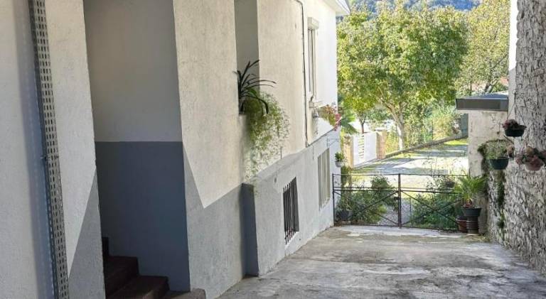 Beautiful rental apartment | Pets are welcome — photo 3