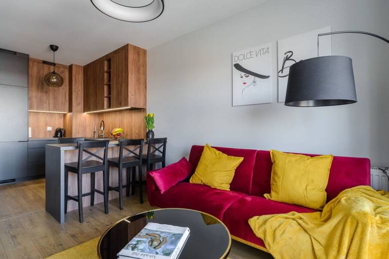 Rental apartment with fast internet in Lódz