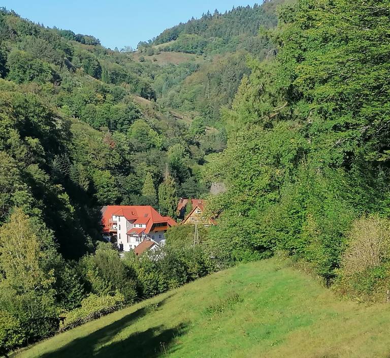 foto15