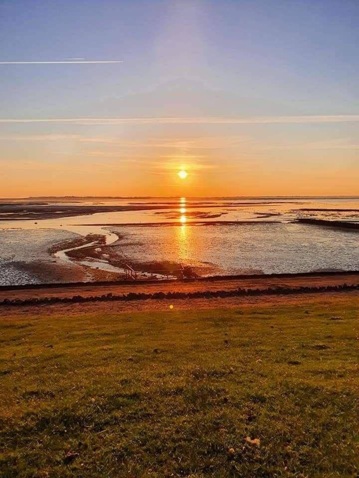 foto20
