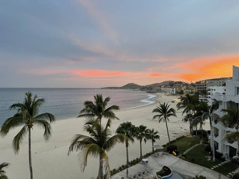 Departamento Palmilla