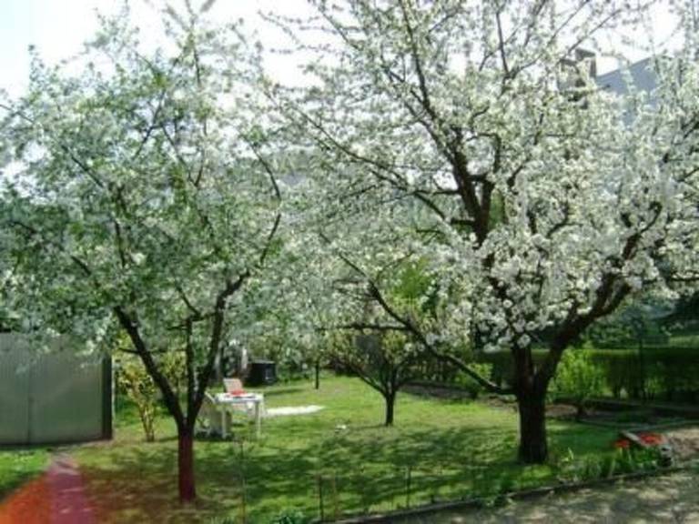 Vacation home with terrace, yard & grill | Nature view — photo 2
