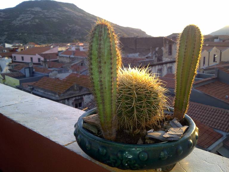 foto15