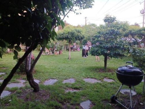 foto16