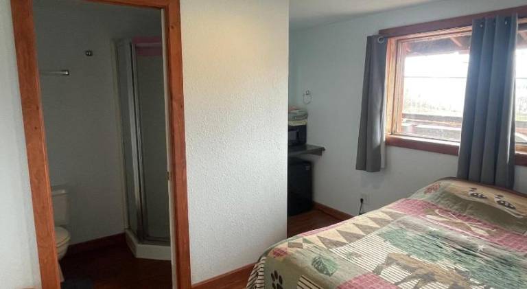 Brown Bear Saloon & Motel — photo 3